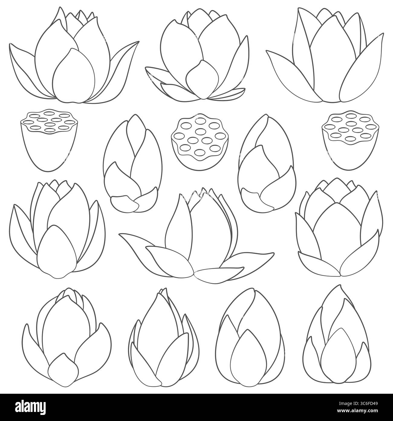 Set di illustrazioni in bianco e nero con giglio d'acqua e loto. Oggetti vettoriali isolati su sfondo bianco. Illustrazione Vettoriale