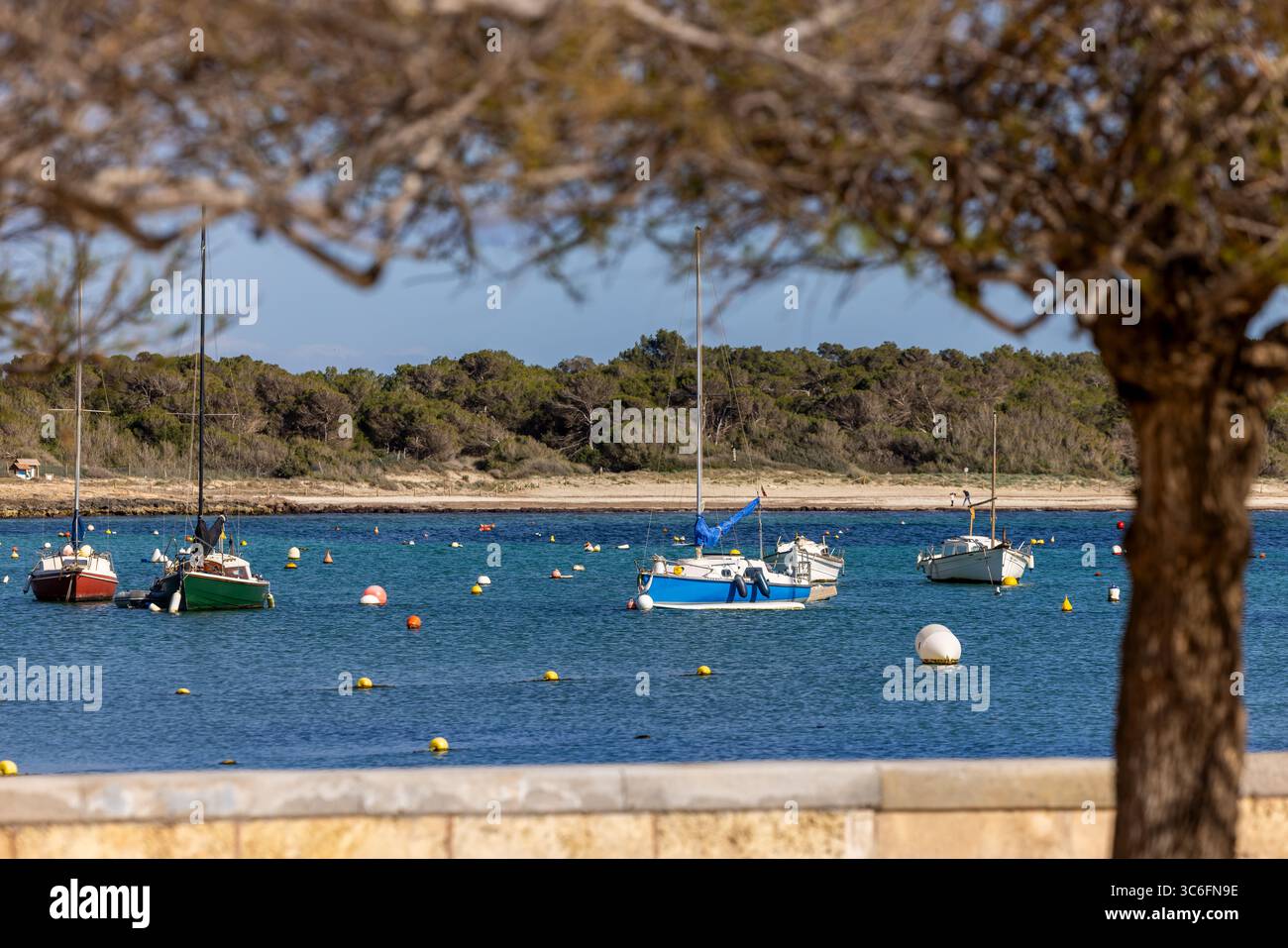 Barche a vela nella baia portuale di Colonia de Sant Jordi, Maiorca, Maiorca, Isole Baleari, Spagna, Europa Foto Stock