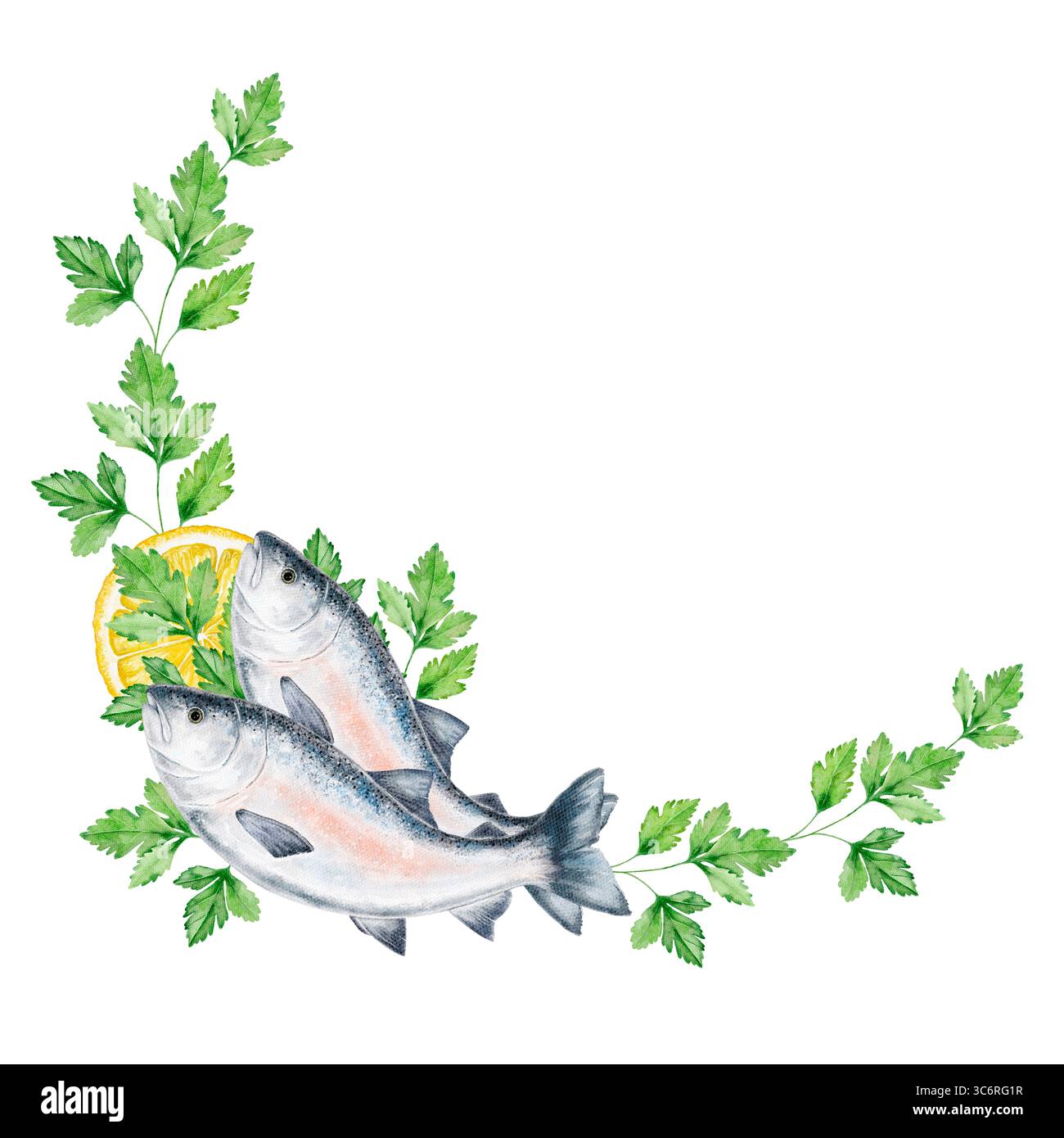 Cornice di pesce all'angolo con prezzemolo, salmone e limone su sfondo bianco. Spazio centrale a sinistra per il testo. Composizione di pesce fresco ed erbe aromatiche per la culina Foto Stock