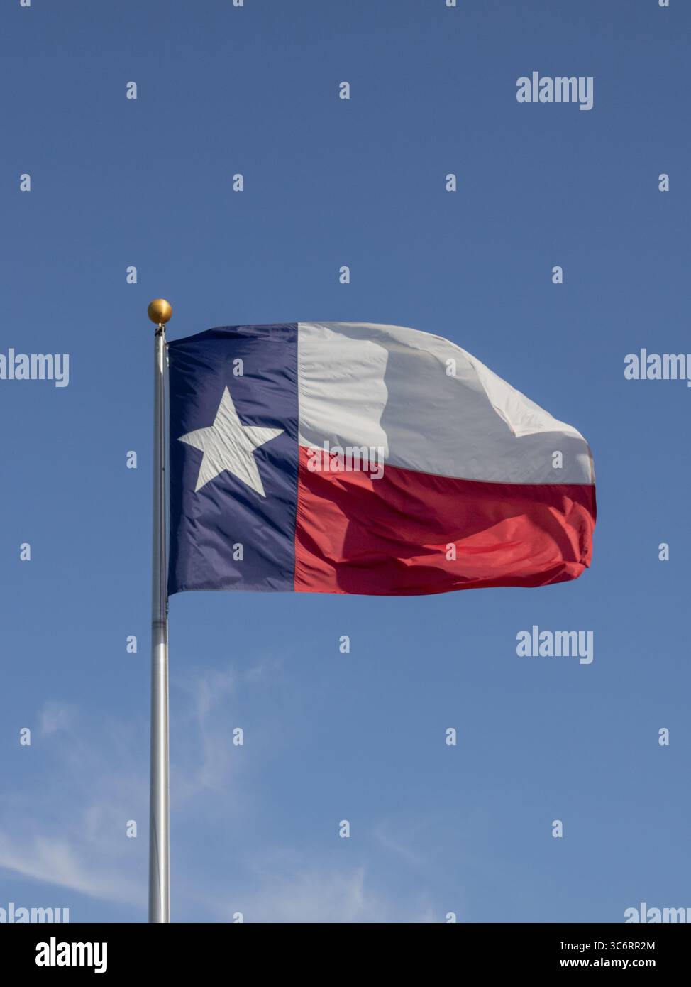 Bandiera del Texas sul palo che scorre nel vento Foto Stock