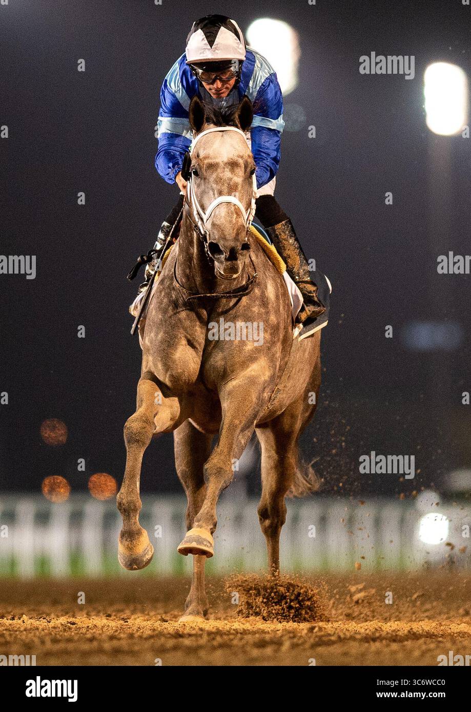 21 gennaio 2021, Dubai, AE: GOLDEN GOAL con il fantino PATRICK DOBBS vince gara 1 al Furjan handicap oltre i 1400 m (7 furlongs) all'ippodromo Meydan di Dubai, Emirati Arabi Uniti, 21 gennaio 2021. (Immagine di credito: © Martin Dokoupil/ZUMA Wire) Foto Stock