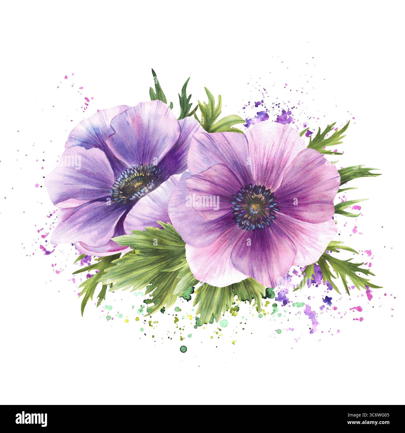 Anemone fiori viola bouquet su acquerello spruzza lo sfondo macchiato. Fiori di vento lilla rosa e gemme verdi illustrazione isolata per il matrimonio Foto Stock
