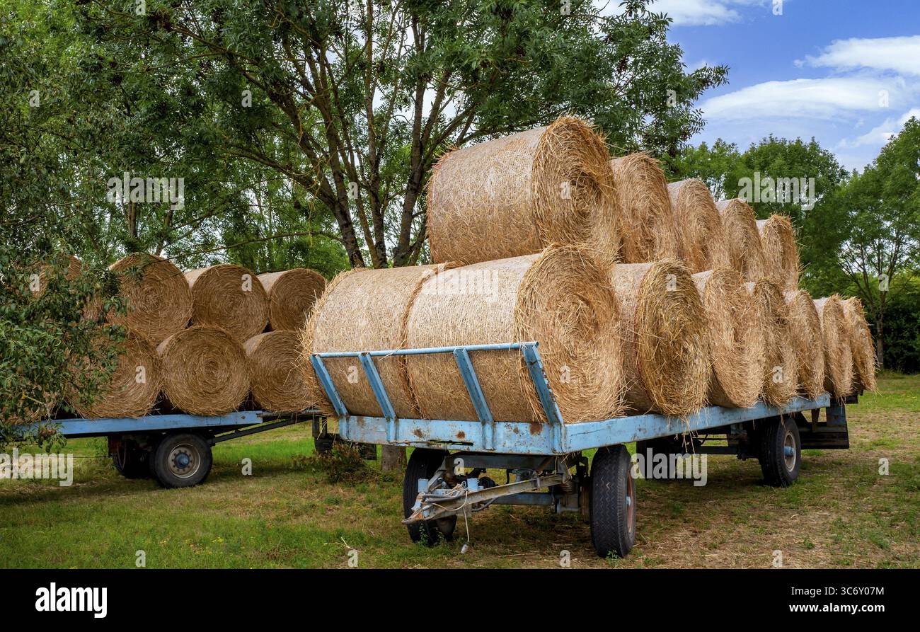 Balle di paglia su un rimorchio, agricoltura in Assia, Germania Foto Stock