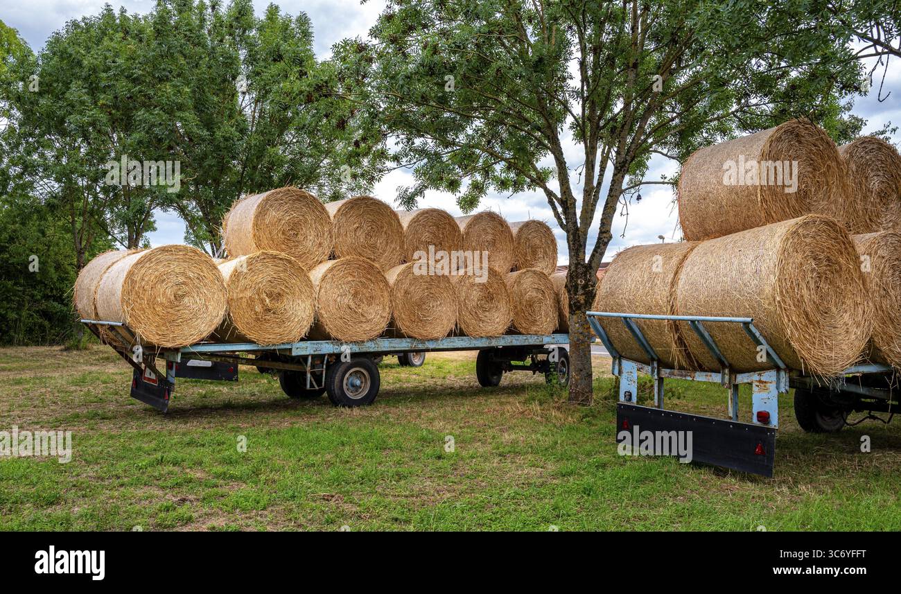 Balle di paglia su un rimorchio, agricoltura in Assia, Germania Foto Stock