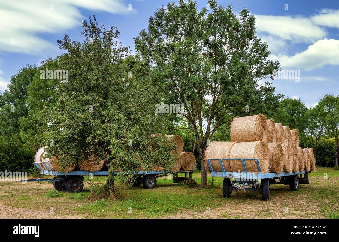 Balle di paglia su un rimorchio, agricoltura in Assia, Germania Foto Stock