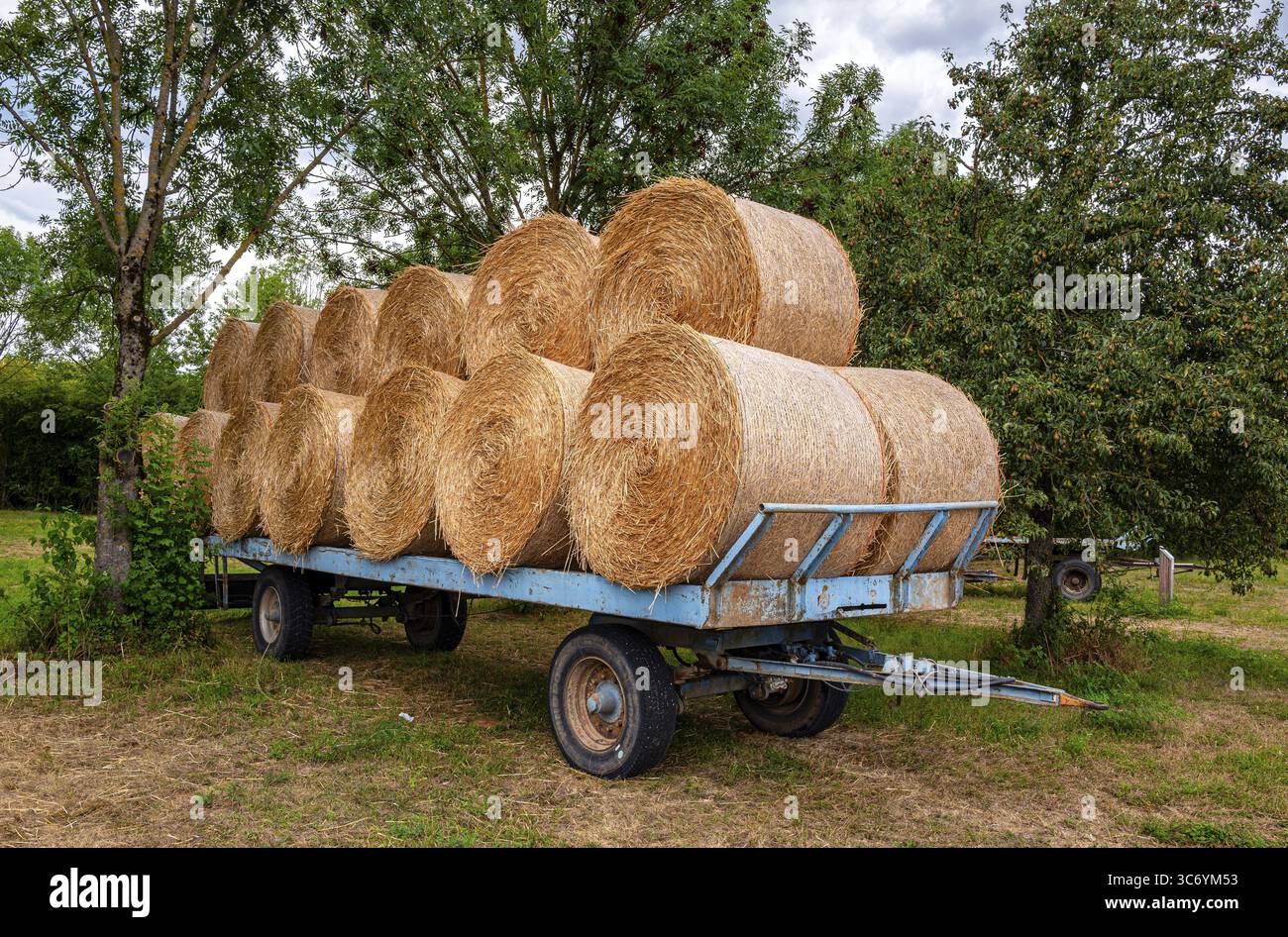 Balle di paglia su un rimorchio, agricoltura in Assia, Germania Foto Stock