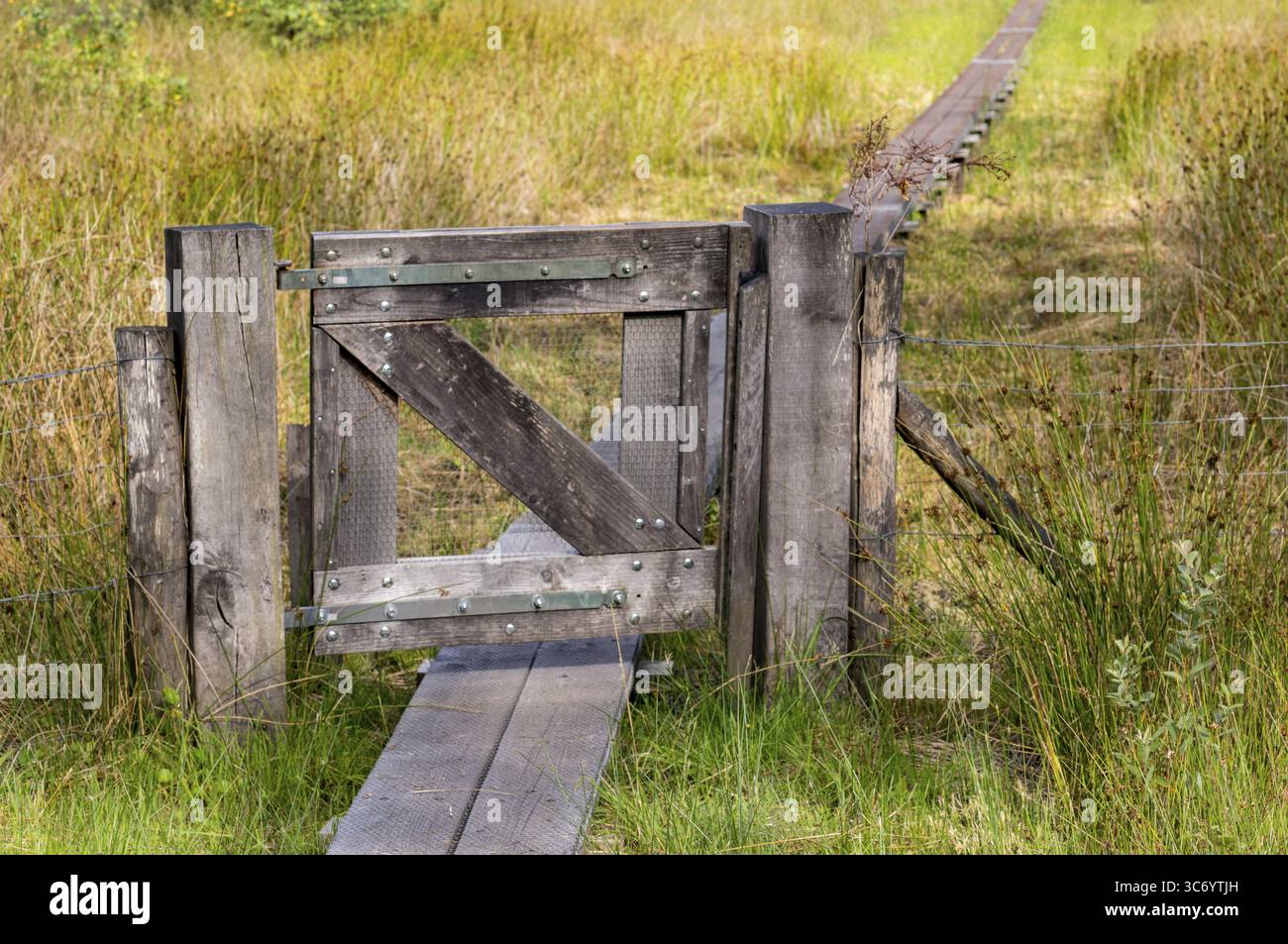 Cancello in legno che garantisce l'accesso a una passerella che attraversa un'area umida in Woold, gelderland, paesi bassi, mettendo in evidenza la gestione dei sentieri rurali Foto Stock