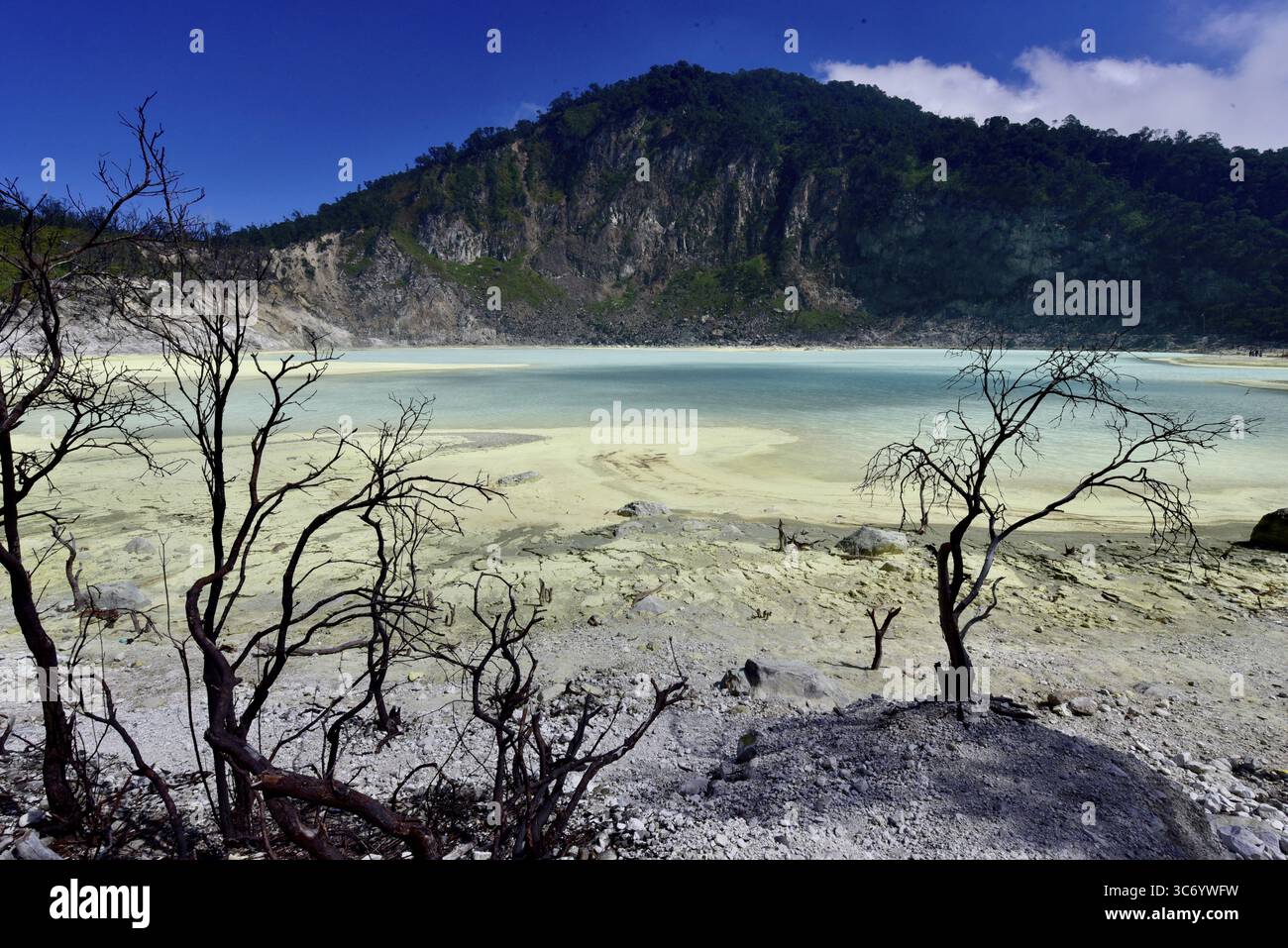 Un lago vulcanico con acqua blu brillante circondato da alberi aridi, pesanti depositi rocciosi e montagne sullo sfondo, Kawa Putih, Bandung, Java, Ind Foto Stock