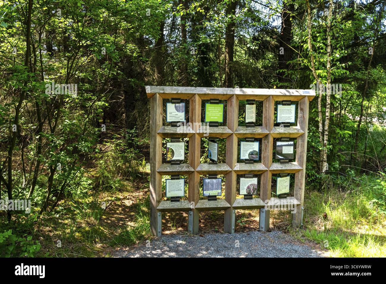 Bacheca informativa interattiva con elementi mobili lungo il percorso di esplorazione della brughiera ad Ahlenmoor o Ahlen-Falkenbeger Moor, distretto di Cuxhaven, Cuxland, lo Foto Stock