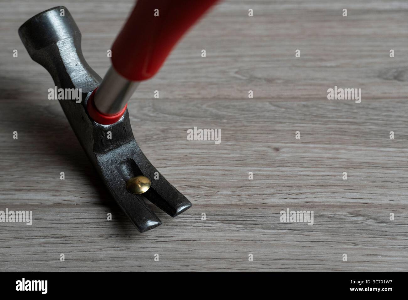 Immagine ravvicinata di un martello a baionetta con impugnatura rossa che afferra una testa di chiodo in ottone su una superficie in legno, mostrando gli utensili utilizzati nella carpenteria o nella costruzione Foto Stock