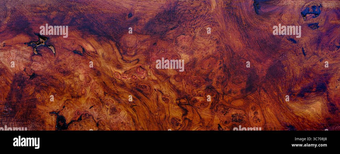 Natura afzelia legno di burl a righe, legno esotico, splendido sfondo a trama Foto Stock