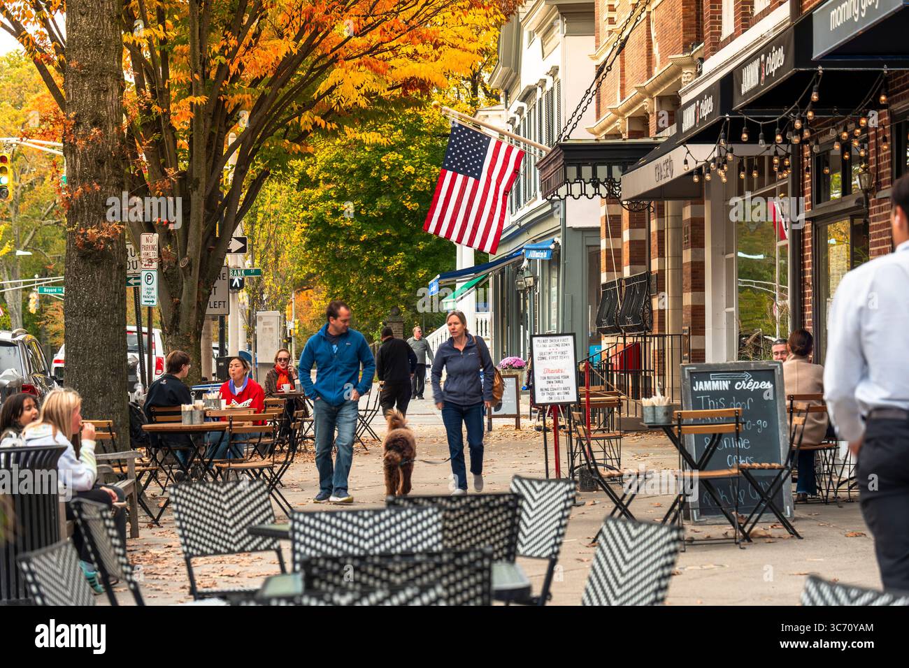 Princeton, New Jersey Street, vicino al campus universitario della Ivy League Foto Stock