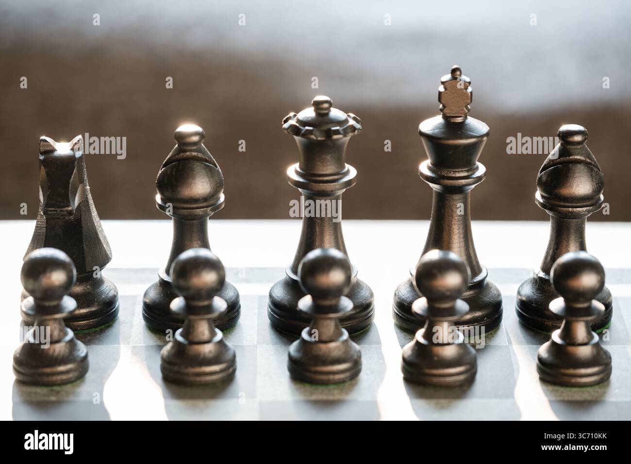 Pedine nere allineate su una scacchiera per l'inizio di una partita. Il re nero, la regina, il cavaliere vescovo e le pedine sono mostrati nell'immagine Foto Stock