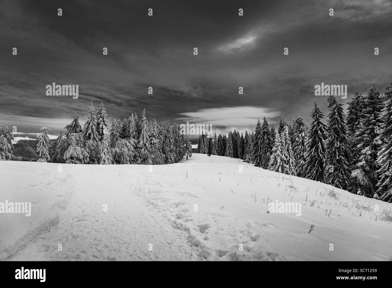 Magia invernale nei Carpazi senza domato - paesaggio innevato di Azuga, Romania Foto Stock