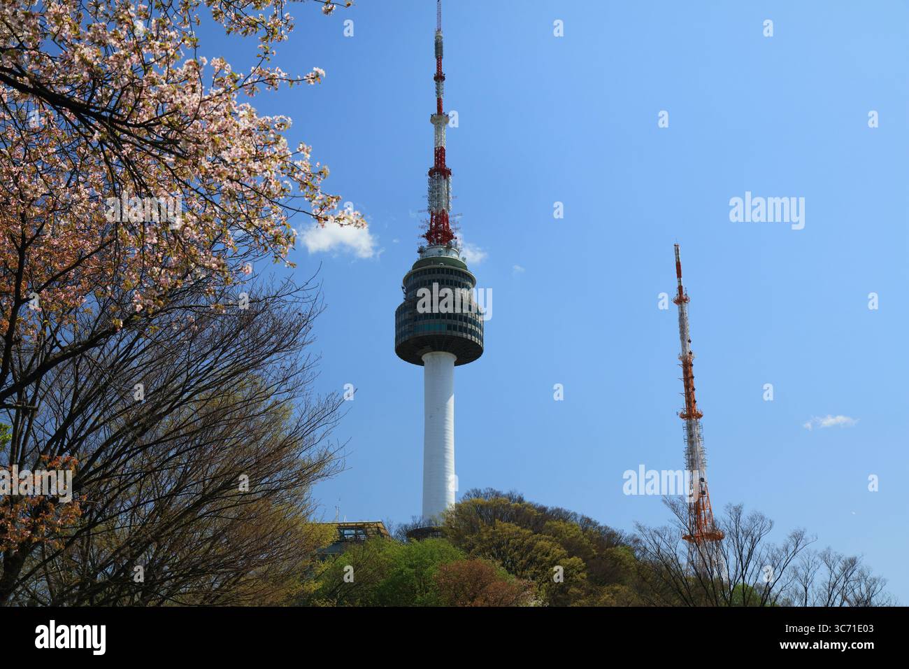 SEOUL, COREA DEL SUD - 8 APRILE 2023: Primavera nel Parco Namsan di Seoul. N Seoul Tower, comunemente nota come Namsan Tower, è visibile sullo sfondo. Foto Stock