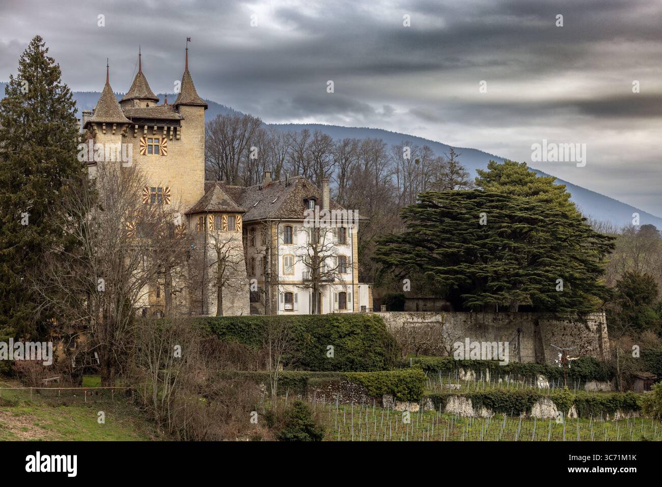Château de Vaumarcus, un castello storico l'architettura medievale e la posizione panoramica lo rendono un punto di riferimento importante nella regione Svizzera. Foto Stock