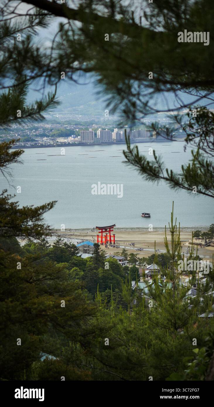 Vista della grande porta Torii del Santuario di Itsukushima dalle colline boscose dell'Isola di Miyajima, in Giappone. Iconico sito patrimonio dell'umanità dell'UNESCO. Foto Stock