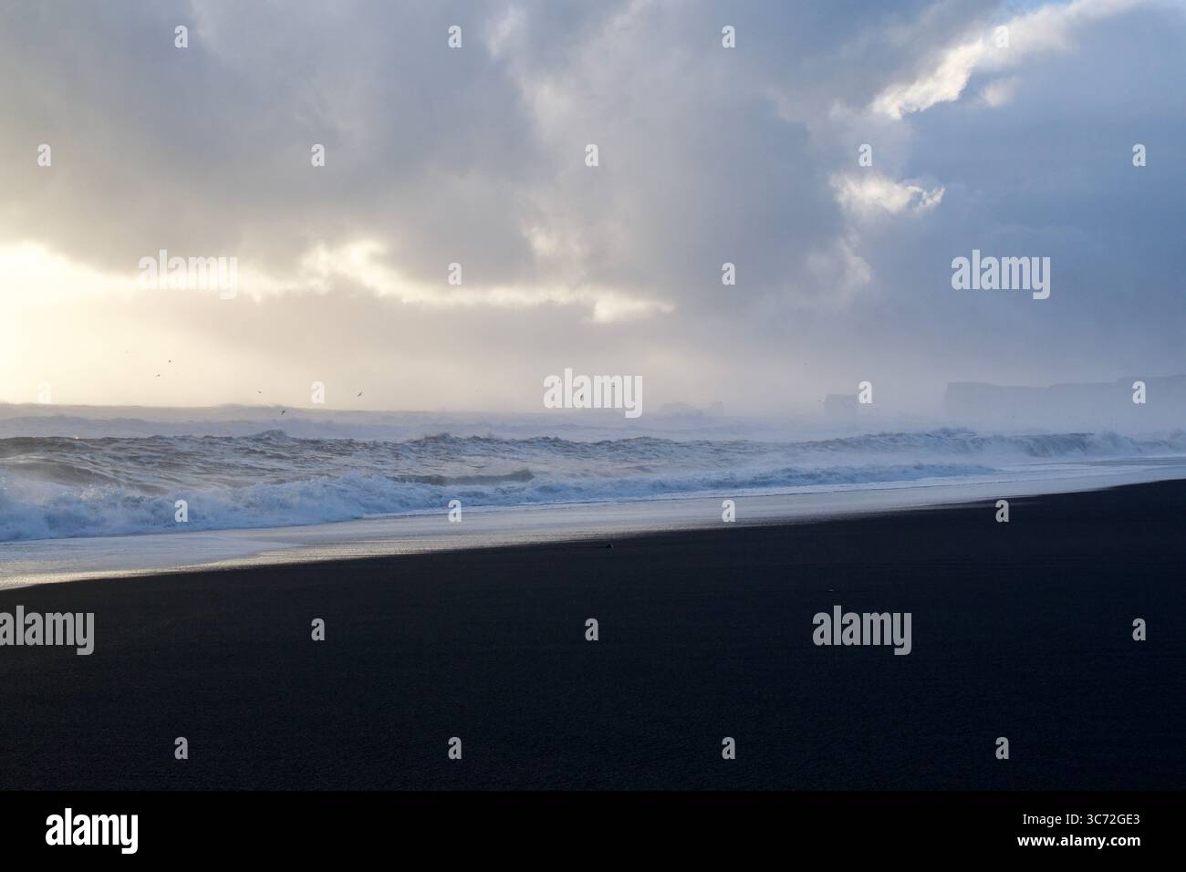 Spiaggia di sabbia nera in Islanda Foto Stock