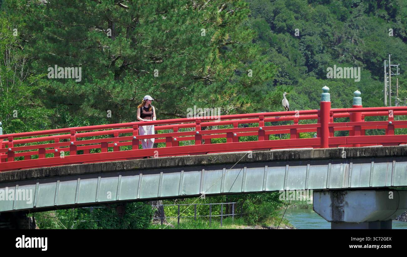 Donna in piedi sul ponte rosso a Uji, in Giappone, con un airone arroccato nelle vicinanze, circondato da una lussureggiante foresta verde in estate. Foto Stock