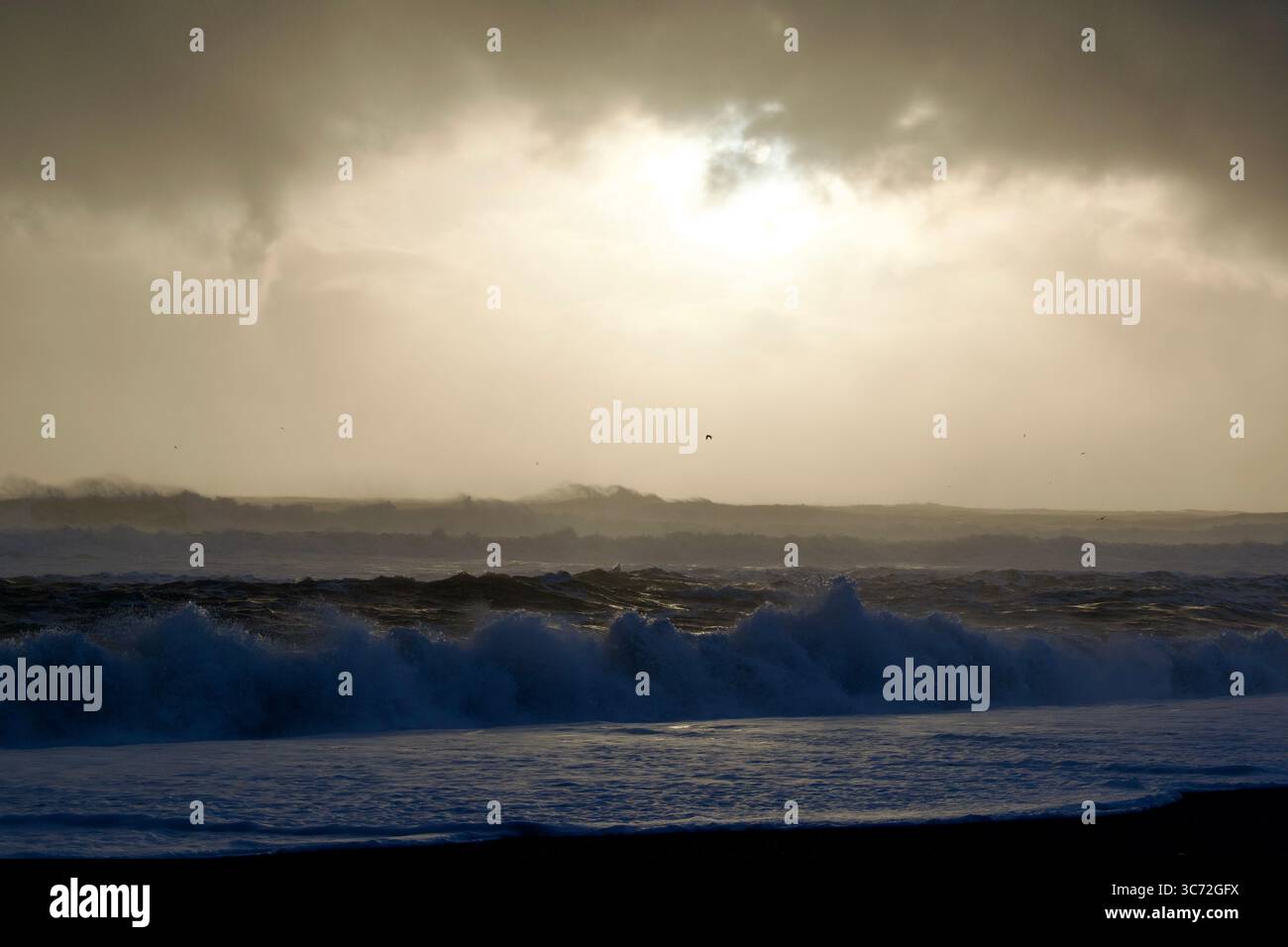 Spiaggia di sabbia nera in Islanda Foto Stock