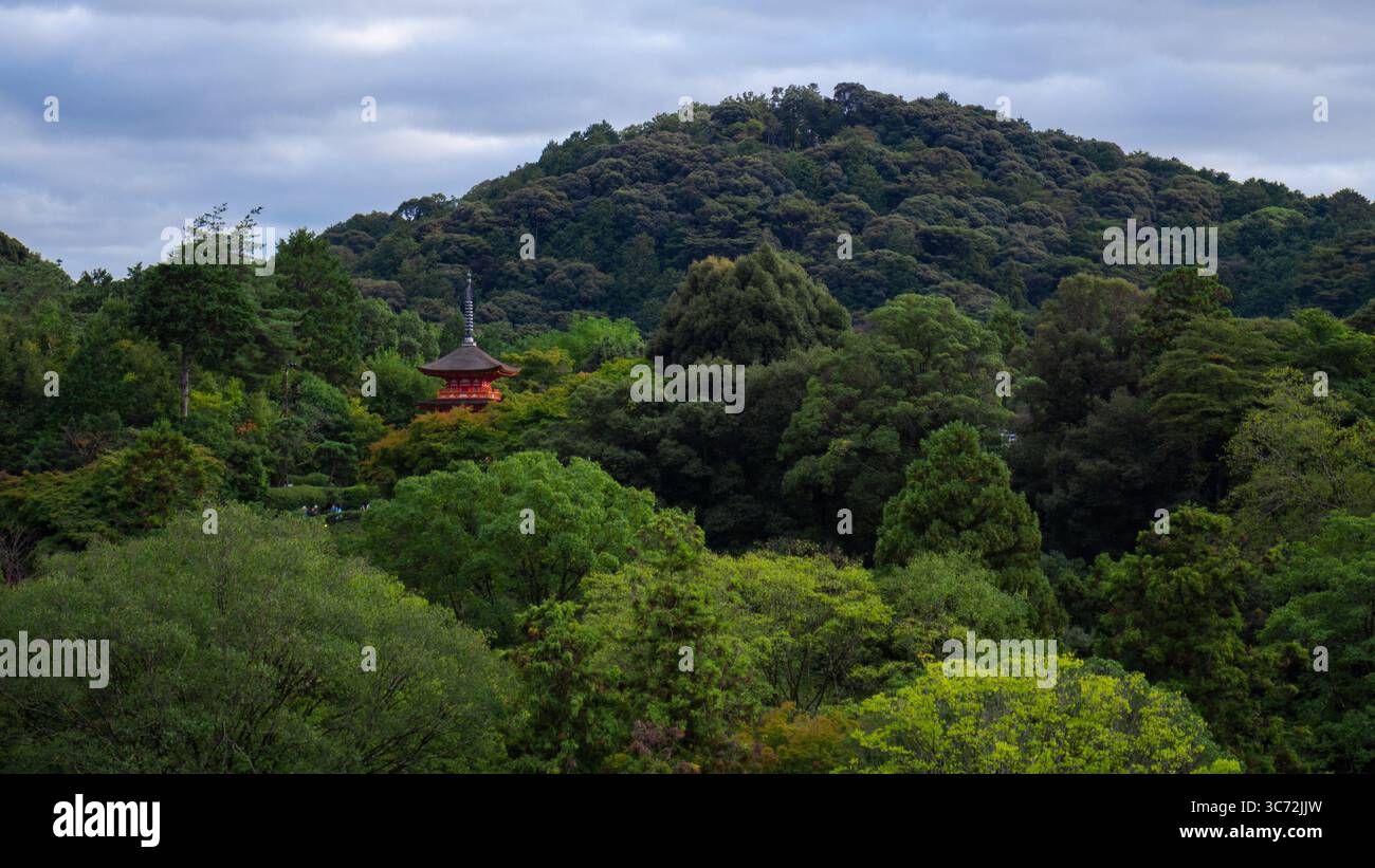 Vista panoramica delle colline boscose di Kyoto con la pagoda dal tempio Kiyomizu-dera, Giappone Foto Stock