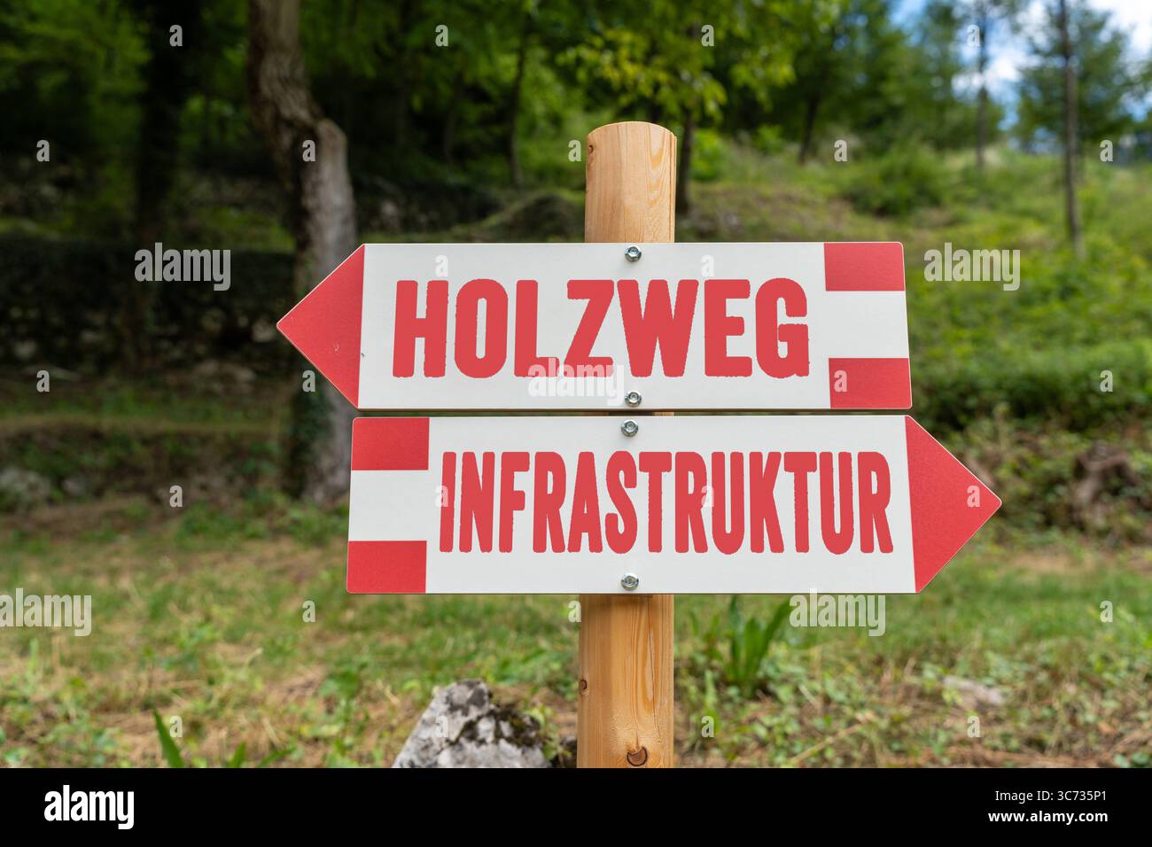 Germania - 30 luglio 2025: FOTOMONTAGE, il cartello mostra: Infrastruttura o percorso in legno Un'immagine simbolica dell'attuale dibattito sui fallimenti degli investimenti, la modernizzazione e le decisioni politiche per il futuro. *** FOTOMONTAGE, Der Wegweiser zeigt: Infrastruktur oder Holzweg Ein symbolisches Bild zur aktuellen debatte um Investitionsversäumnisse, Modernisierung und politische Zukunftsentscheidungen. Foto Stock