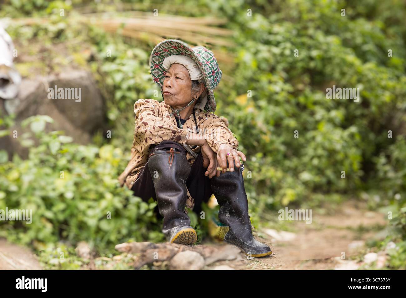 Chiang mai, Thailandia - lavoratori nei campi di riso Foto Stock