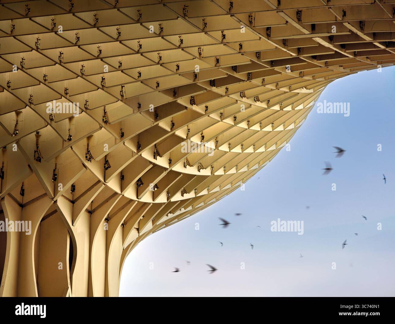 Mentre il sole tramonta su Siviglia, si libra graziosamente intorno al Metropol Parasol, mescolando architettura moderna con natura vibrante. Foto Stock