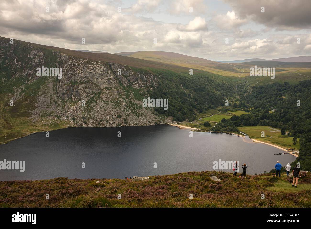 Affacciato su Lough Tay nelle montagne di Wicklow, Irlanda Foto Stock