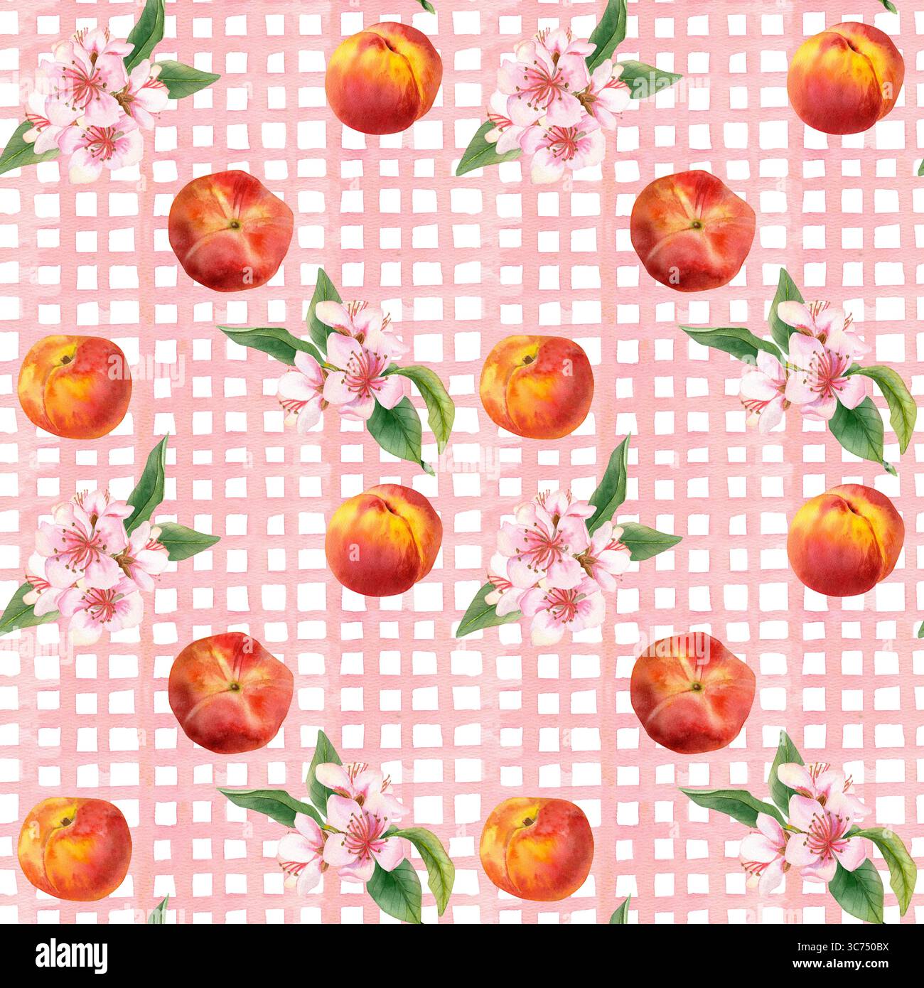 Acquerello disegnato a mano motivo senza cuciture di rosa a scacchi sullo sfondo e pesche mature, fiori rosa piccante. Perfetto per il confezionamento di alimenti, crusca biologica Foto Stock