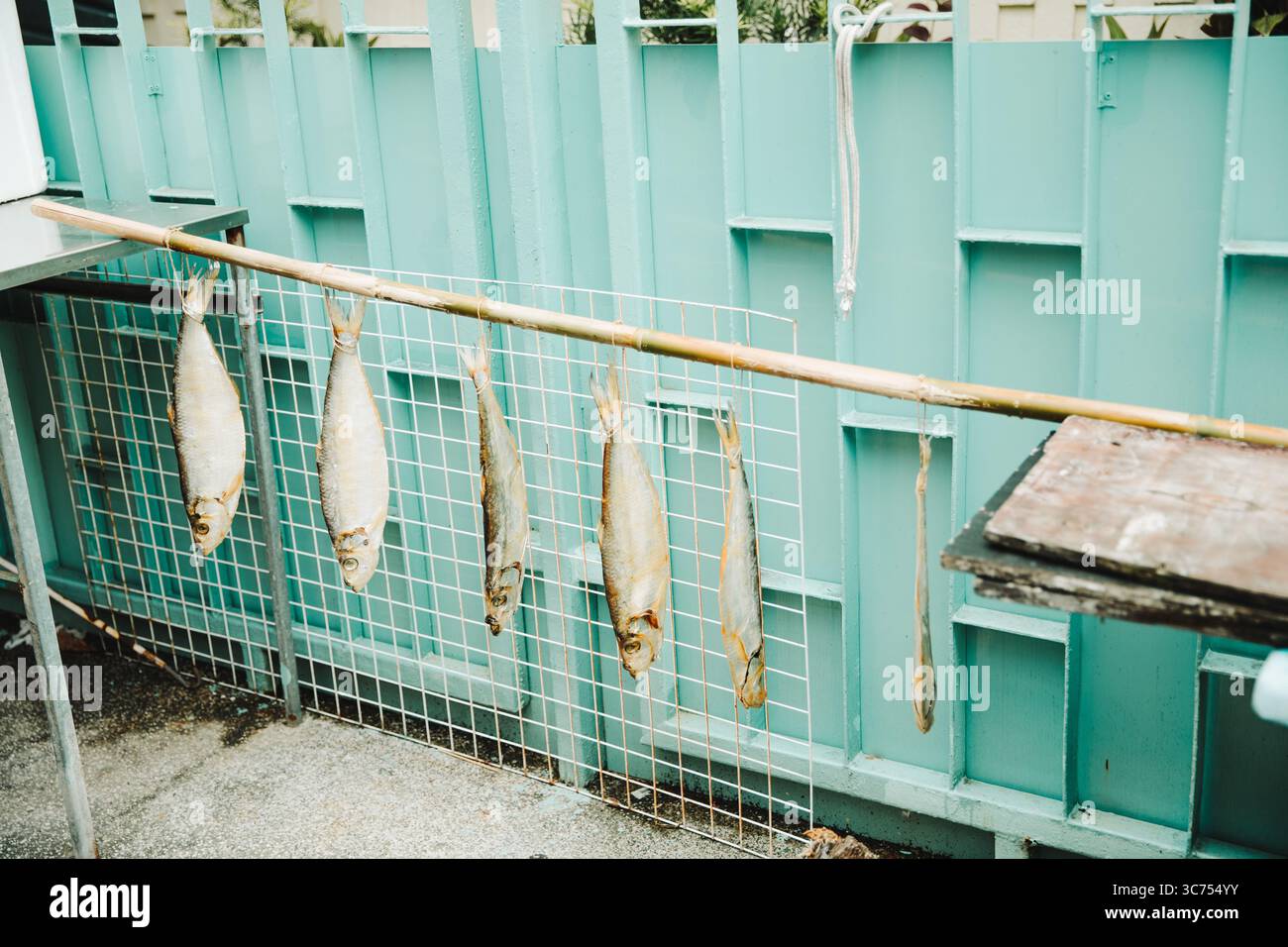 Fila di pesci salati conservati appesi su una parete verde in un mercato all'aperto di Hong Kong. Foto Stock