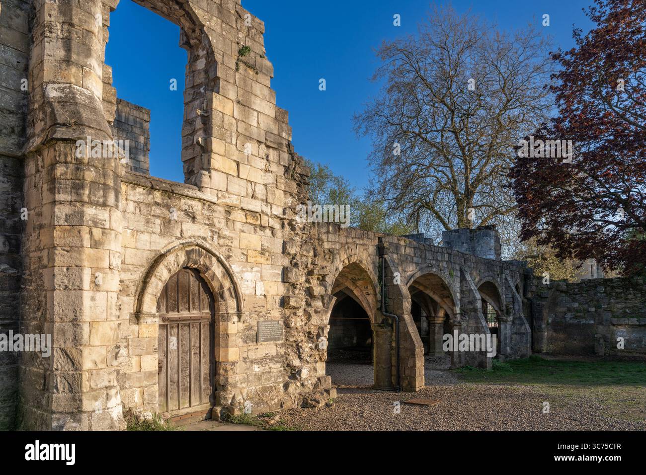 Rovine del St. Leonard's Hospital di York, Inghilterra, fotografate durante l'ora d'oro. La luce calda mette in risalto gli archi in pietra medievali contro una nuvola Foto Stock