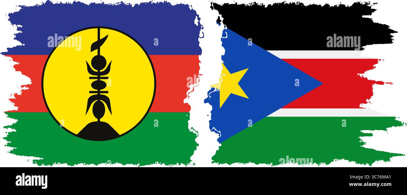 Il Sud Sudan e la nuova Caledonia grunge bandiere connessione, vettore Illustrazione Vettoriale