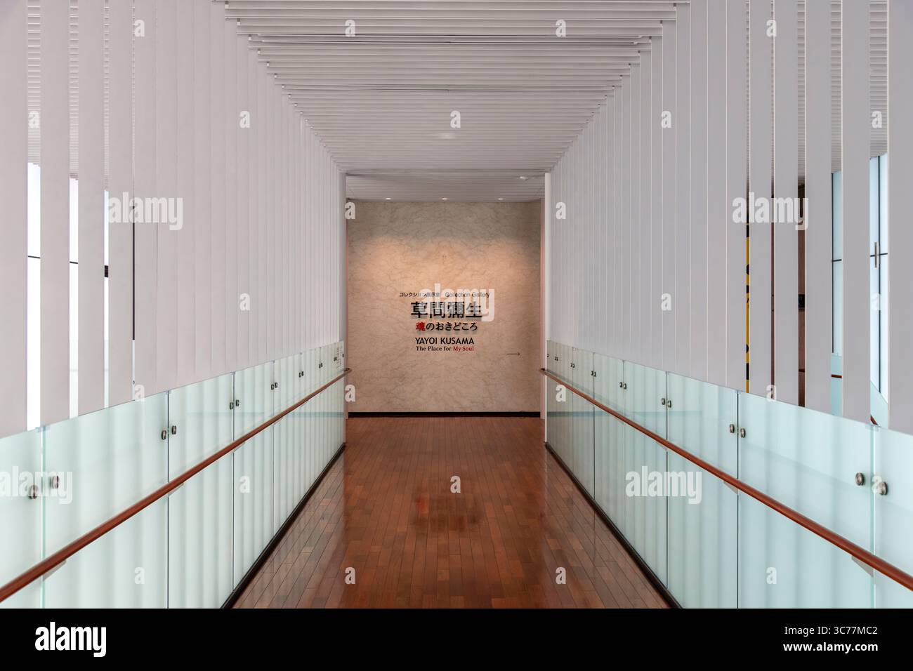 Matsumoto, Giappone - 22 aprile 2025; interno del Museo d'Arte della città di Matsumoto dedicato all'opera dell'artista nato a Matsumoto Kusama Yayoi, con un co Foto Stock