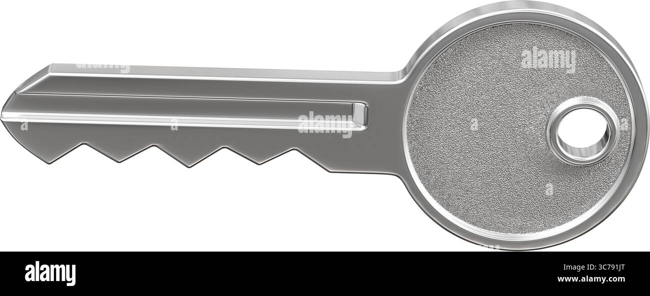 Chiave del modello isolata su sfondo bianco puro come risorsa per i compositi Foto Stock