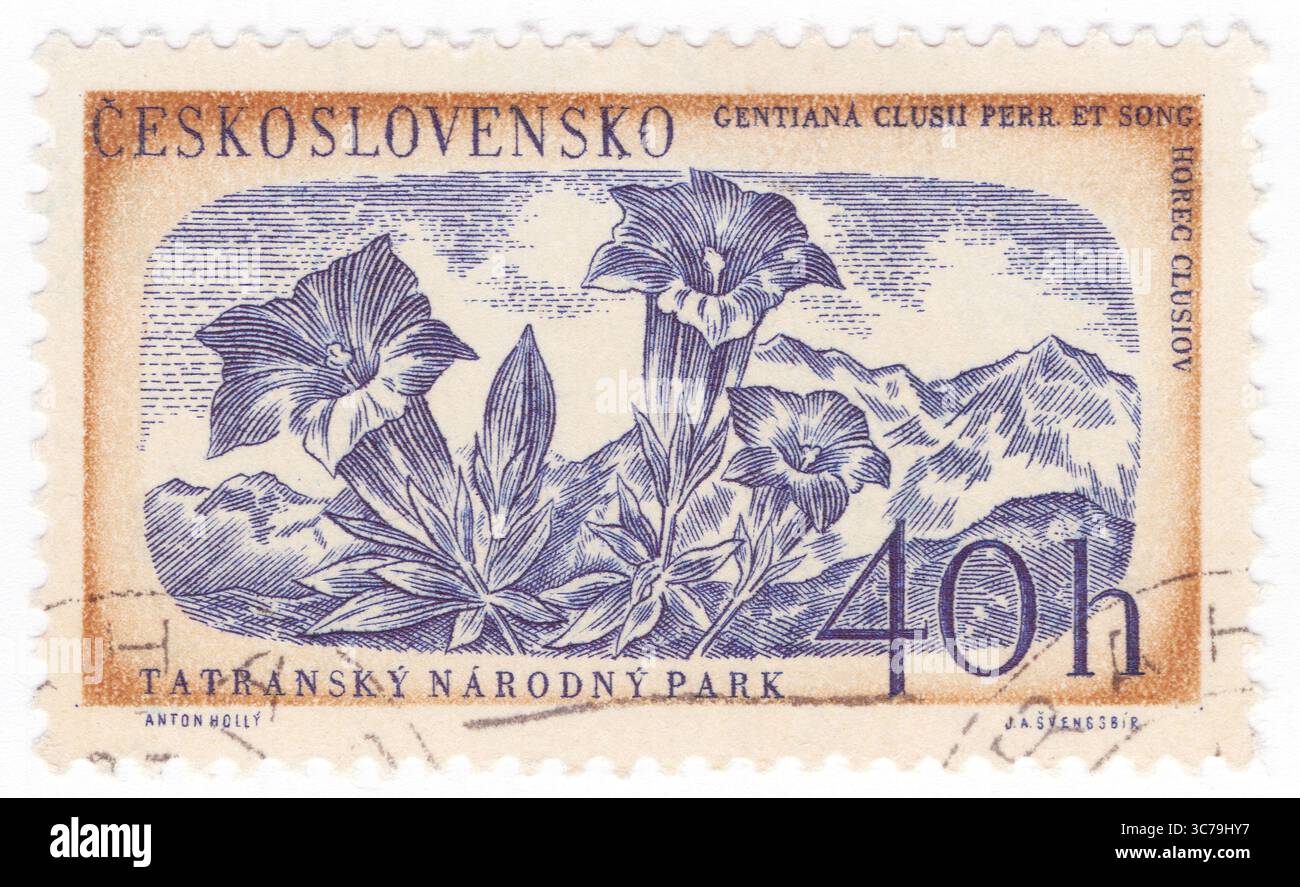 CECOSLOVACCHIA - 1957 agosto 28: 40 haléř francobollo marrone dorato e blu viola raffigurante Gentiana, genere di piante da fiore appartenenti alla famiglia Gentianaceae. Parco nazionale dei Monti Tatra Foto Stock