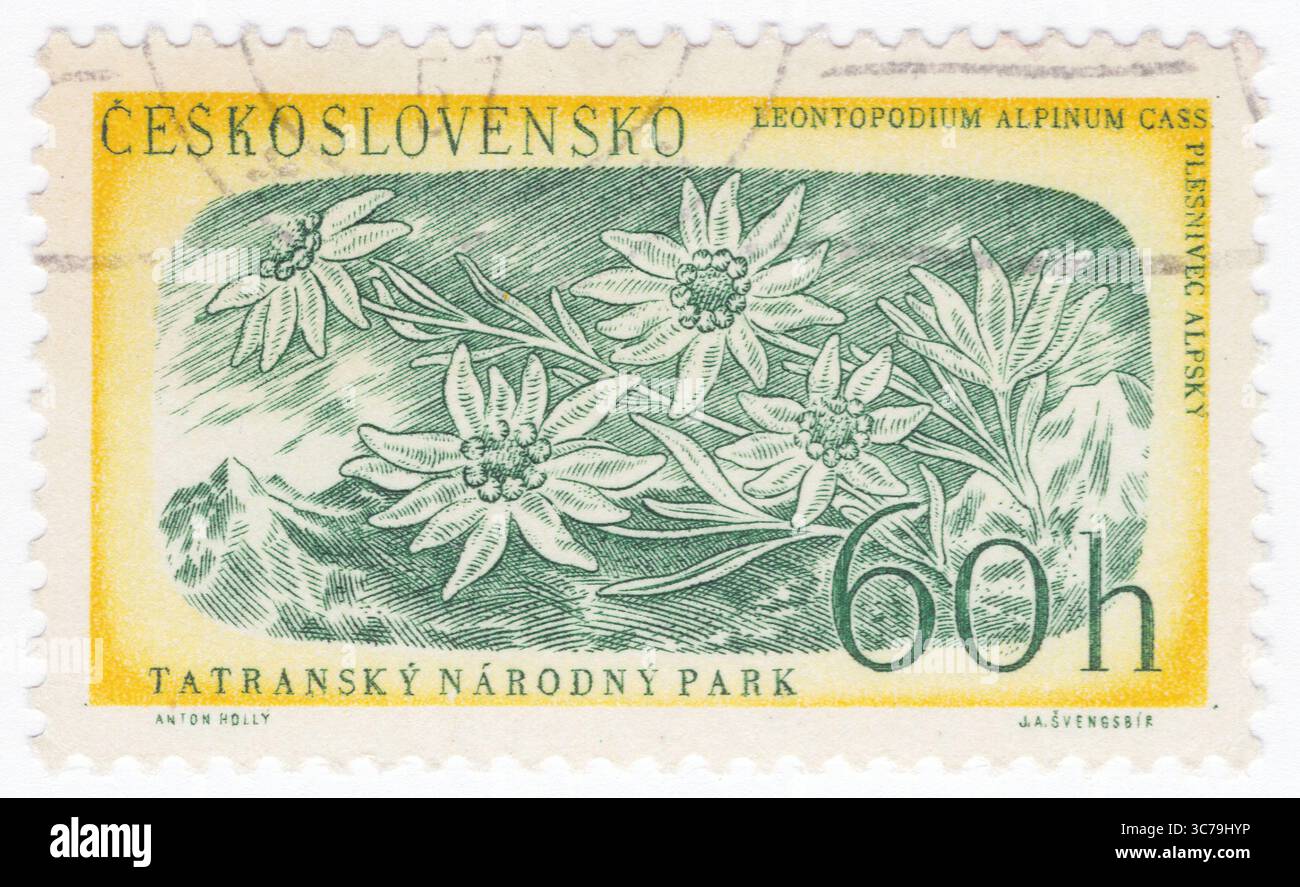 CECOSLOVACCHIA - 1957 agosto 28: 60 haléř francobollo giallo e verde raffigurante Edelweiss, o Leontopodium Alpinum, è un fiore di montagna. Parco nazionale dei Monti Tatra Foto Stock