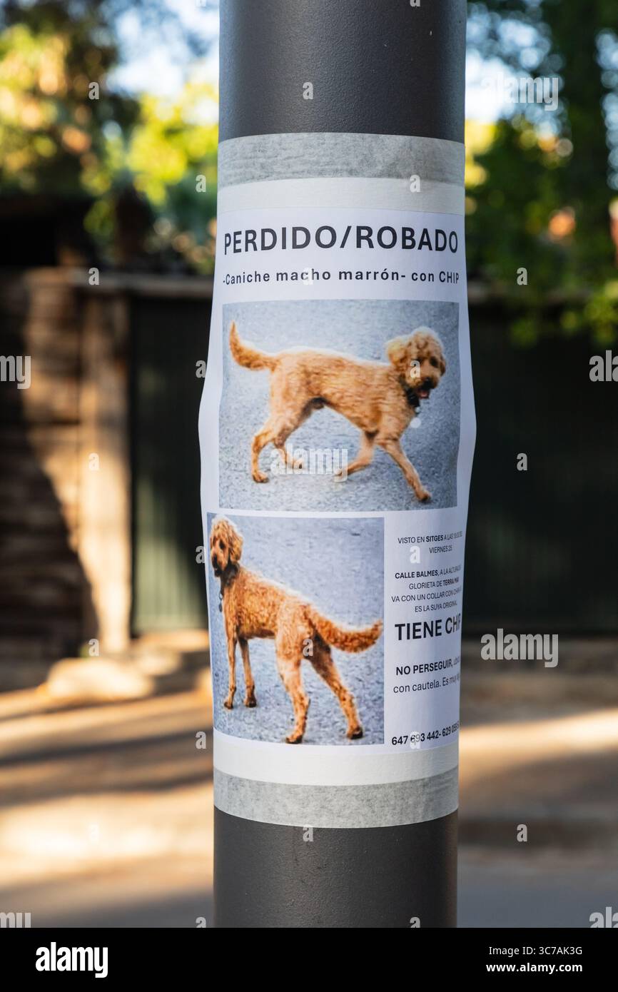 Locandina per cani smarrita Sitges, Catalogna, Spagna. Foto Stock