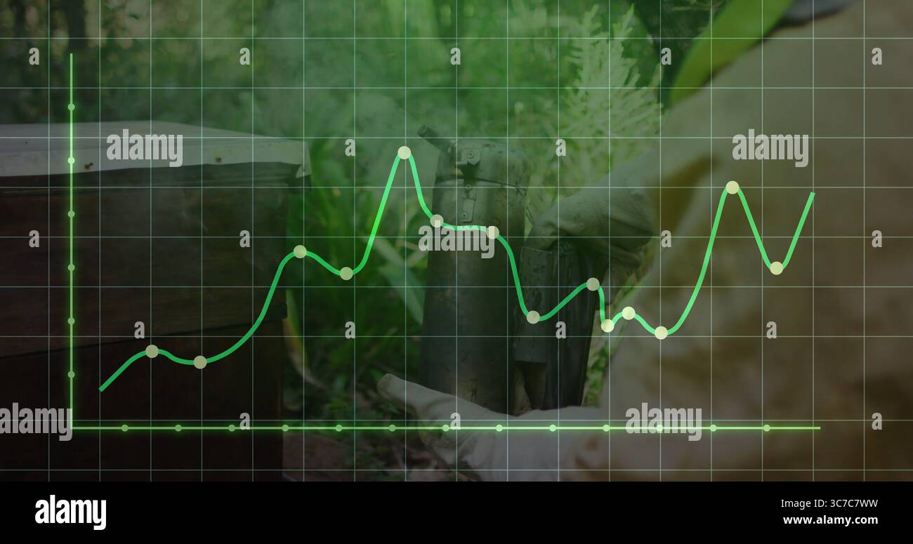 Ispezione dell'apicoltore in tuta sollevamento della cornice dell'alveare nell'apiario sotto la sovrapposizione del grafico della linea dati, copia spazio Foto Stock