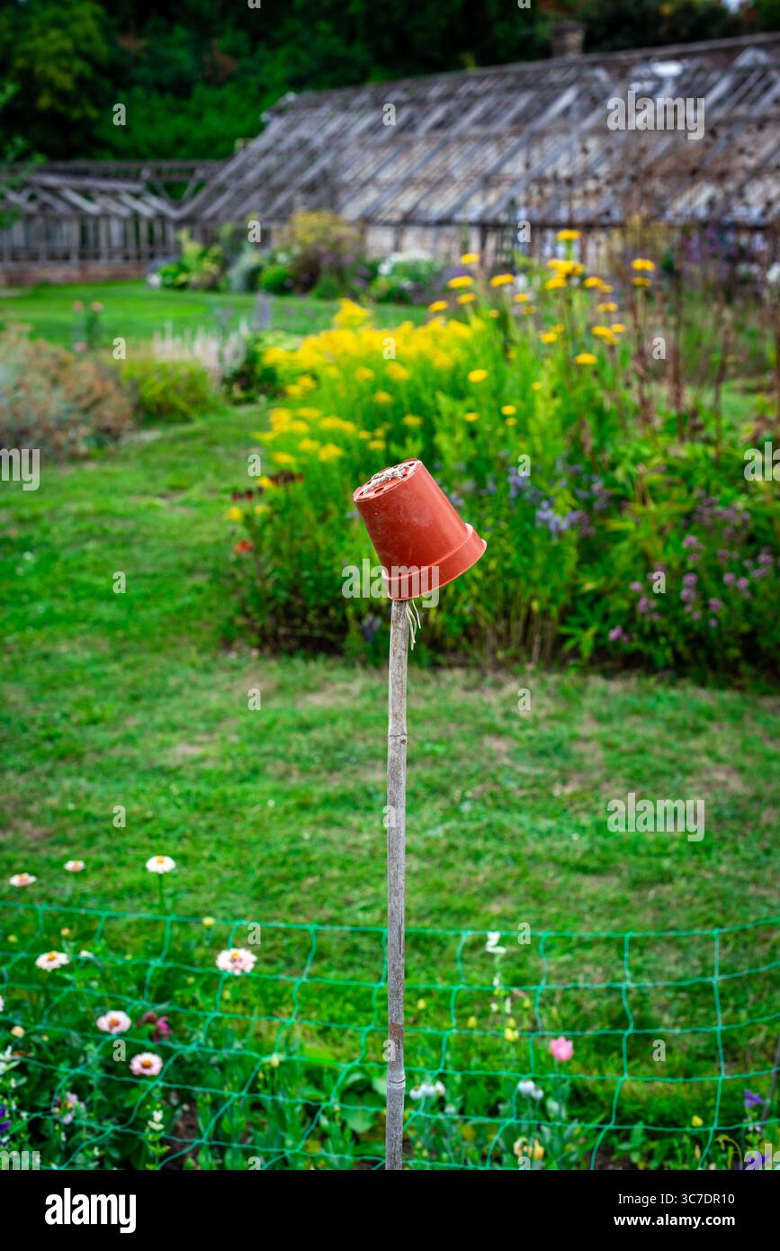 Un bastone coperto di vaso (per proteggere gli occhi da lesioni) presso The Walled Garden, Luton Hoo Estate, Bedfordshire, Regno Unito Foto Stock