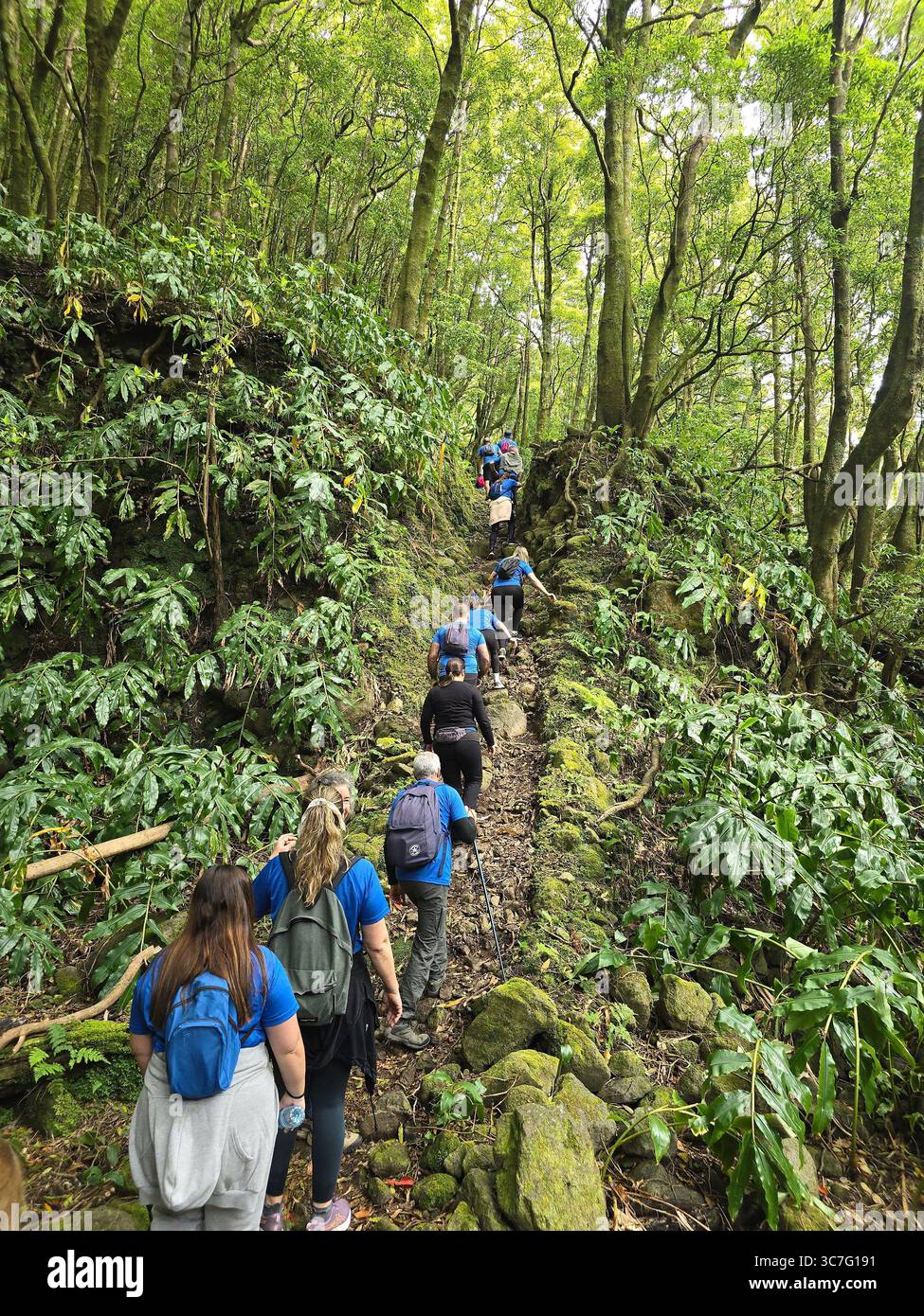 I partecipanti che corrono e camminano attraverso i lussureggianti sentieri della foresta e le strade storiche della città durante l'evento Trail Real Priolo nell'isola di São Miguel, nelle Azzorre, Foto Stock