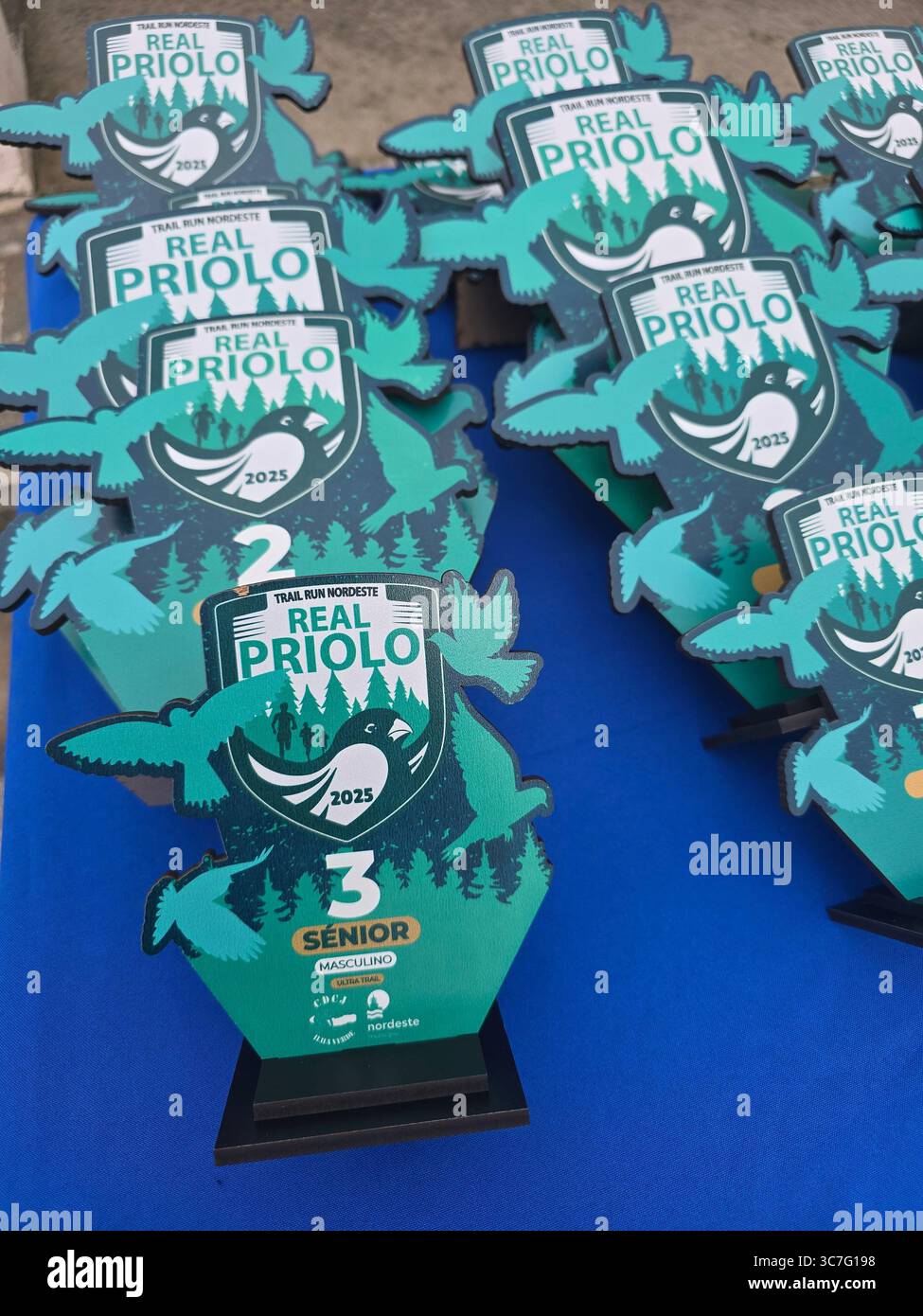 I partecipanti che corrono e camminano attraverso i lussureggianti sentieri della foresta e le strade storiche della città durante l'evento Trail Real Priolo nell'isola di São Miguel, nelle Azzorre, Foto Stock