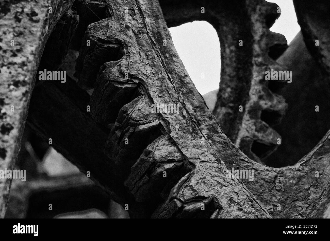 Dettaglio ravvicinato degli ingranaggi metallici di una macchina utilizzata per trainare piccole imbarcazioni di pescatori a terra nelle Azzorre. Foto Stock