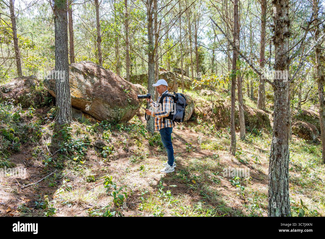 Fotografo in una pineta che tiene una macchina fotografica in una mano e controlla il suo telefono. Un creatore di contenuti moderno che bilancia tecnologia e natura durante un p Foto Stock