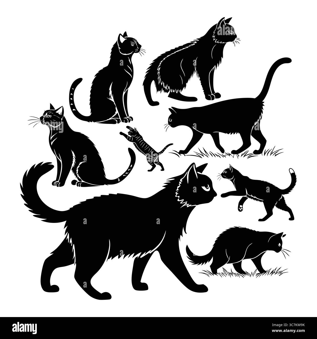 Collezione di sagome Black American Wirehair Cat in varie pose e movimenti Illustrazione Vettoriale