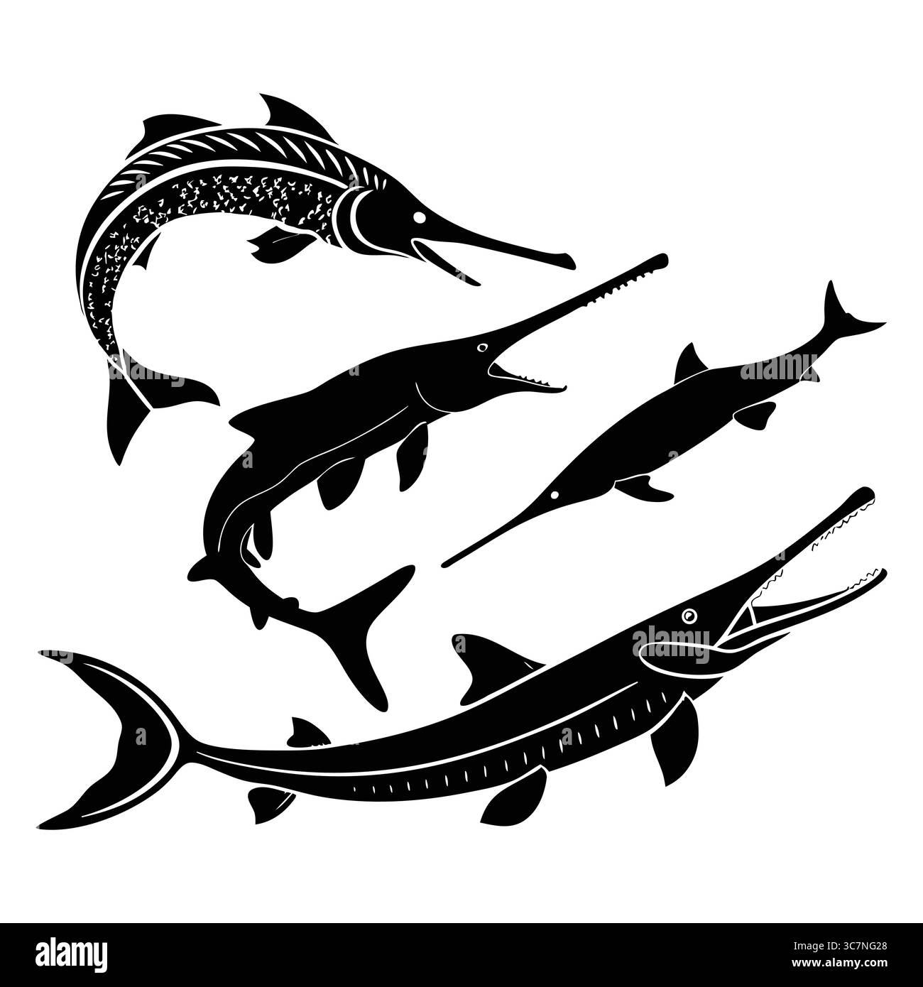 Illustrazione di varie sagome preistoriche di pesce pagaiolo americano in bianco e nero Illustrazione Vettoriale