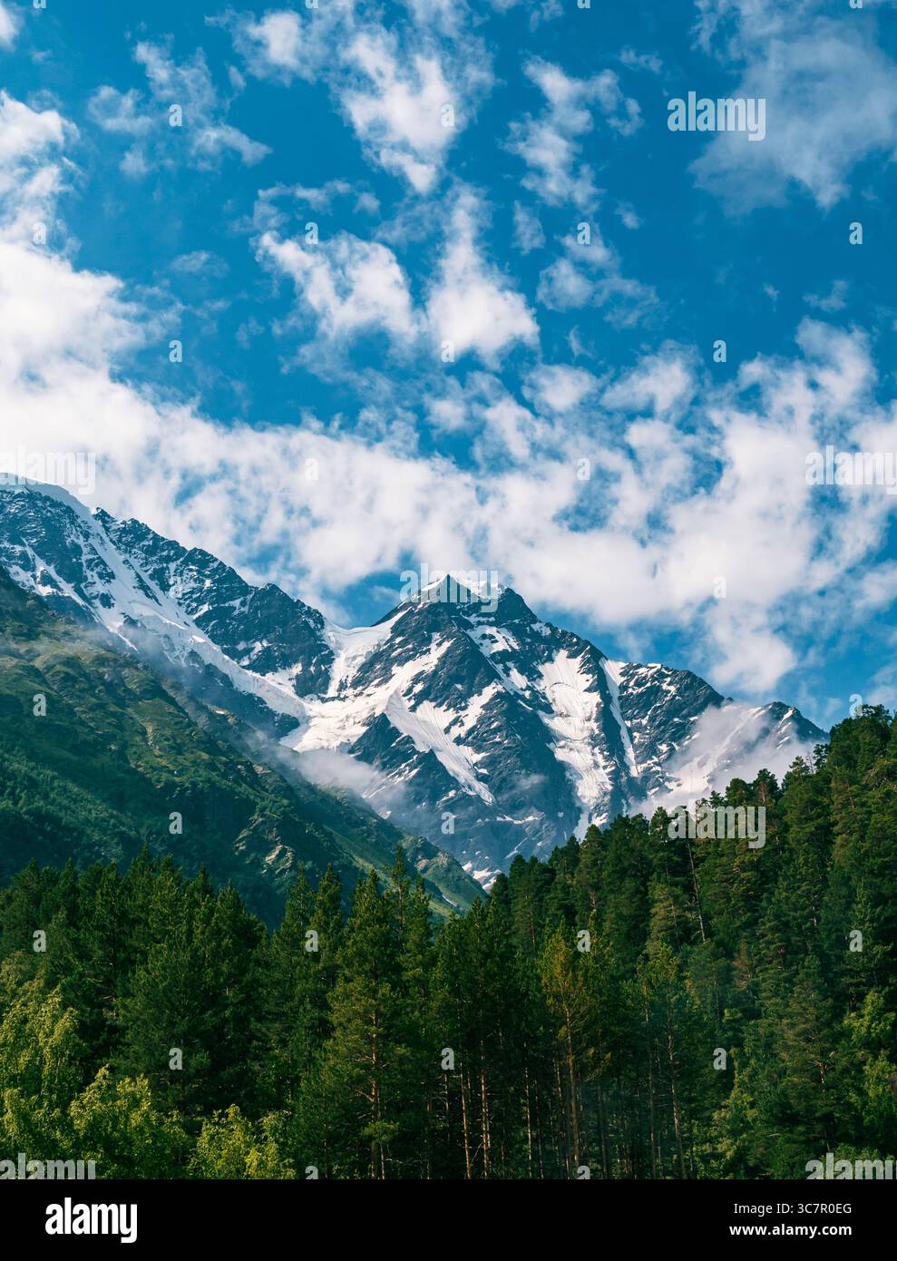 Le cime innevate del Caucaso si innalzano sopra lussureggianti foreste verdi sotto un vivace cielo blu durante una giornata di sole in montagna Foto Stock