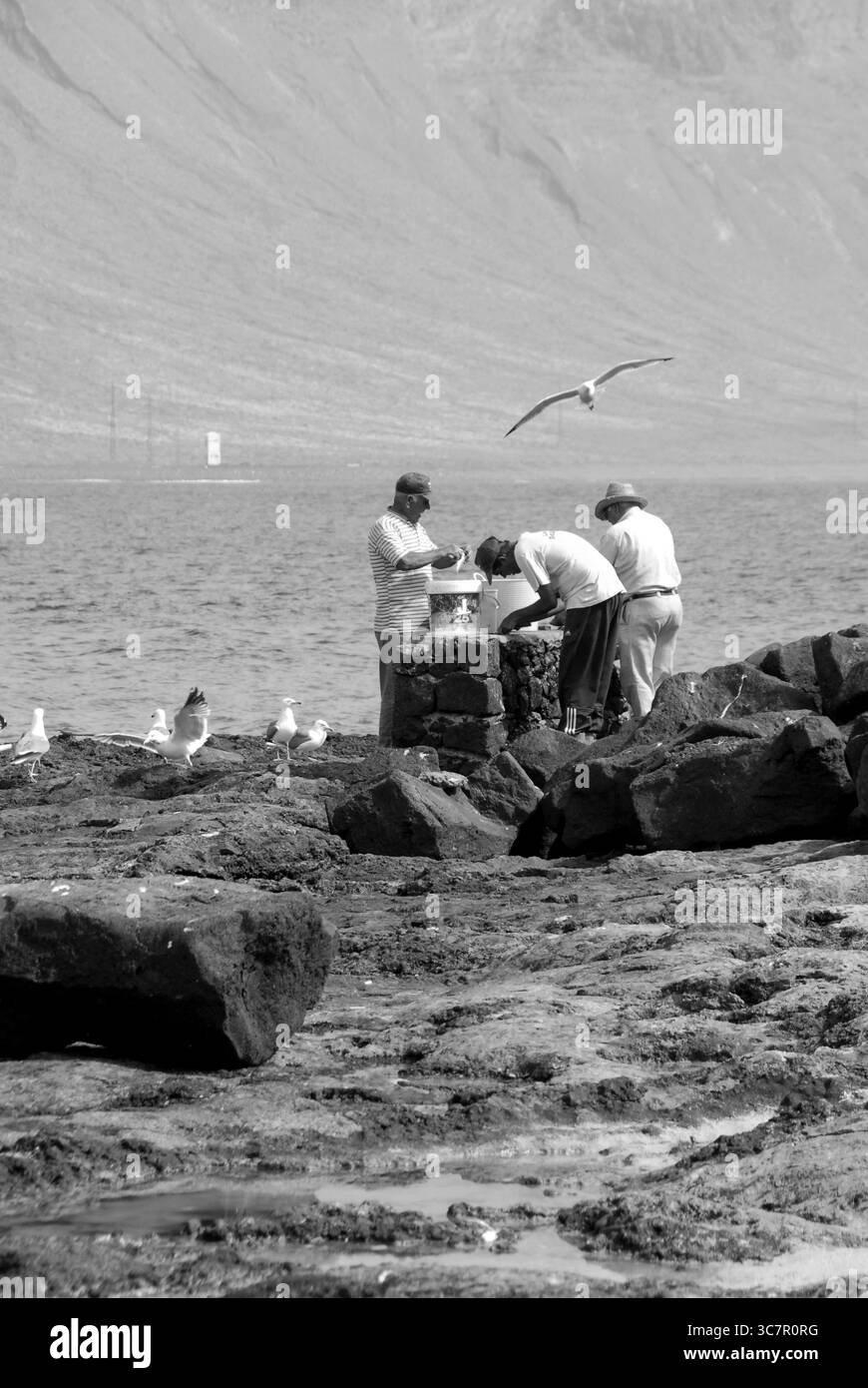I pescatori lavorano vicino ai gabbiani su rocce vulcaniche sulla riva dell'isola di la Graciosa, in Spagna. Una scena costiera catturata nel maggio 2011. Foto Stock
