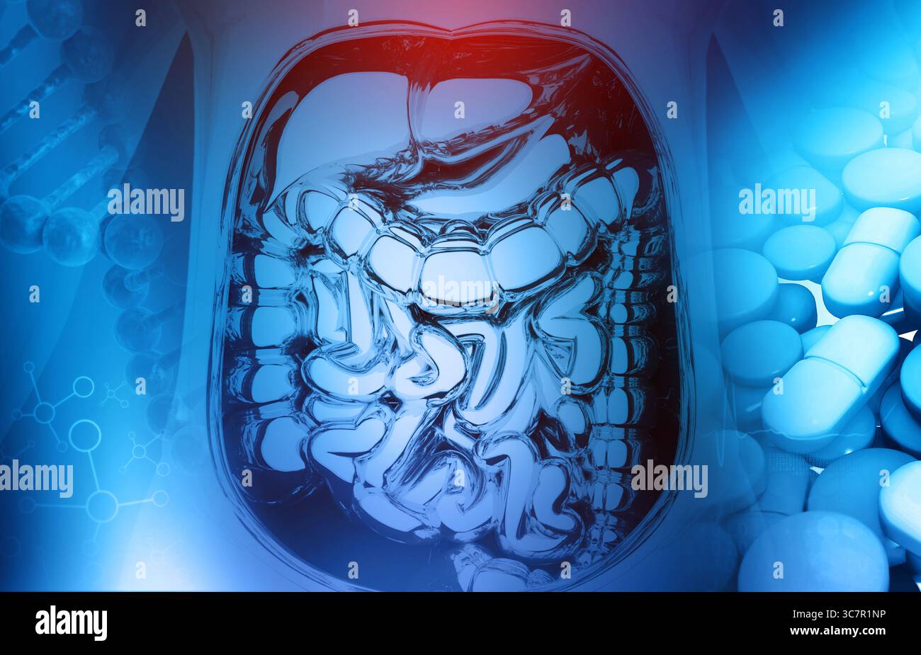Anatomia del sistema digerente umano con medicina. illustrazione 3d. Foto Stock