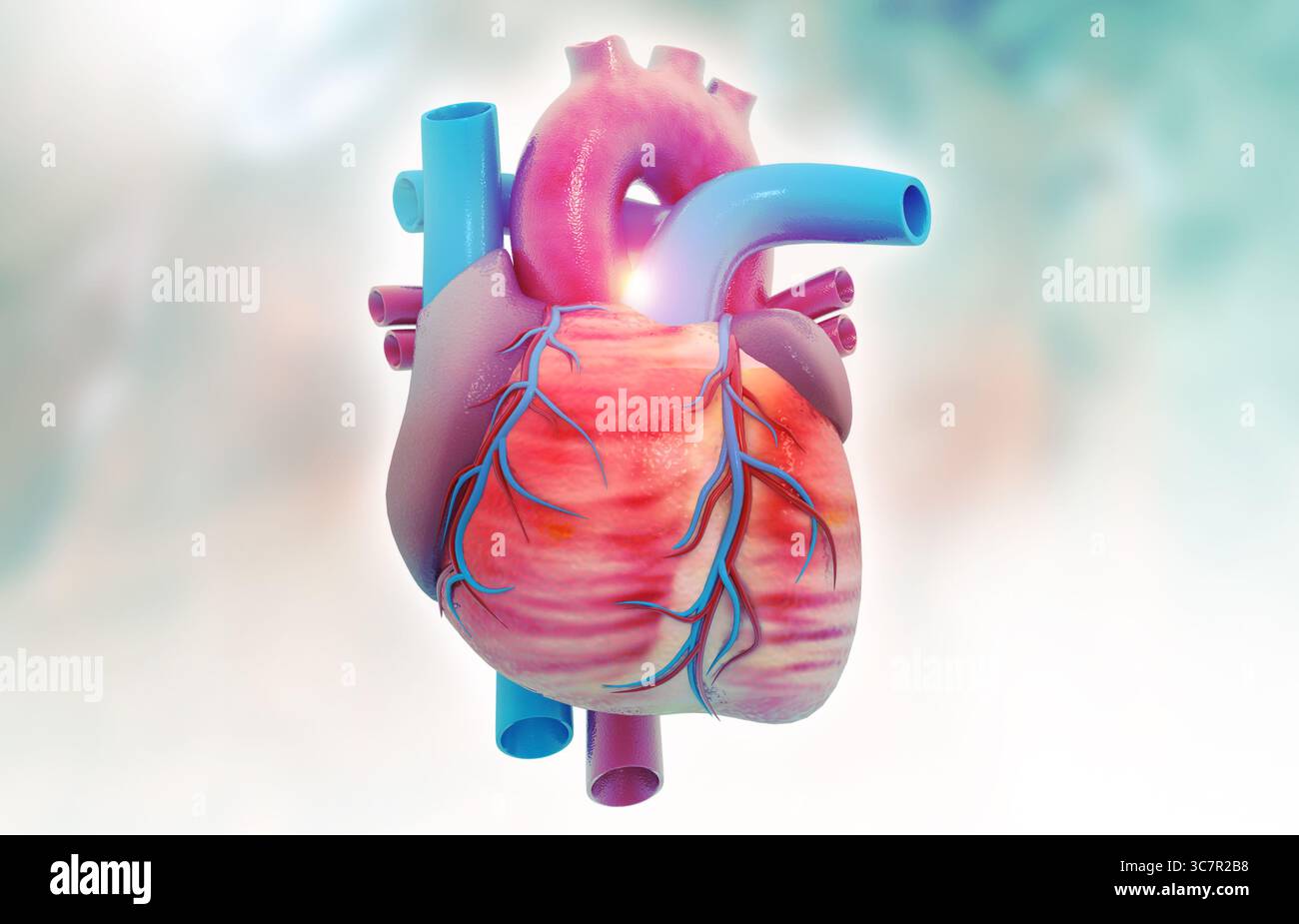 Anatomia del cuore umano su sfondo medico. rendering 3d. Foto Stock